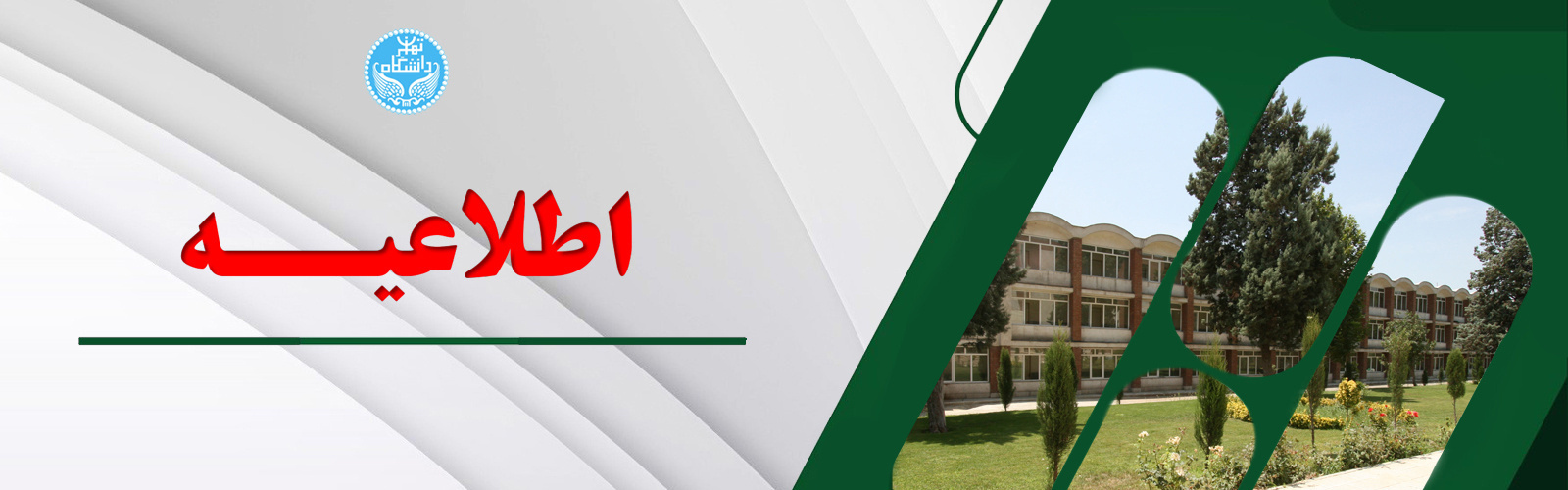 آلبوم - 3